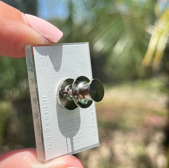 Ten Locking Pin Backs
